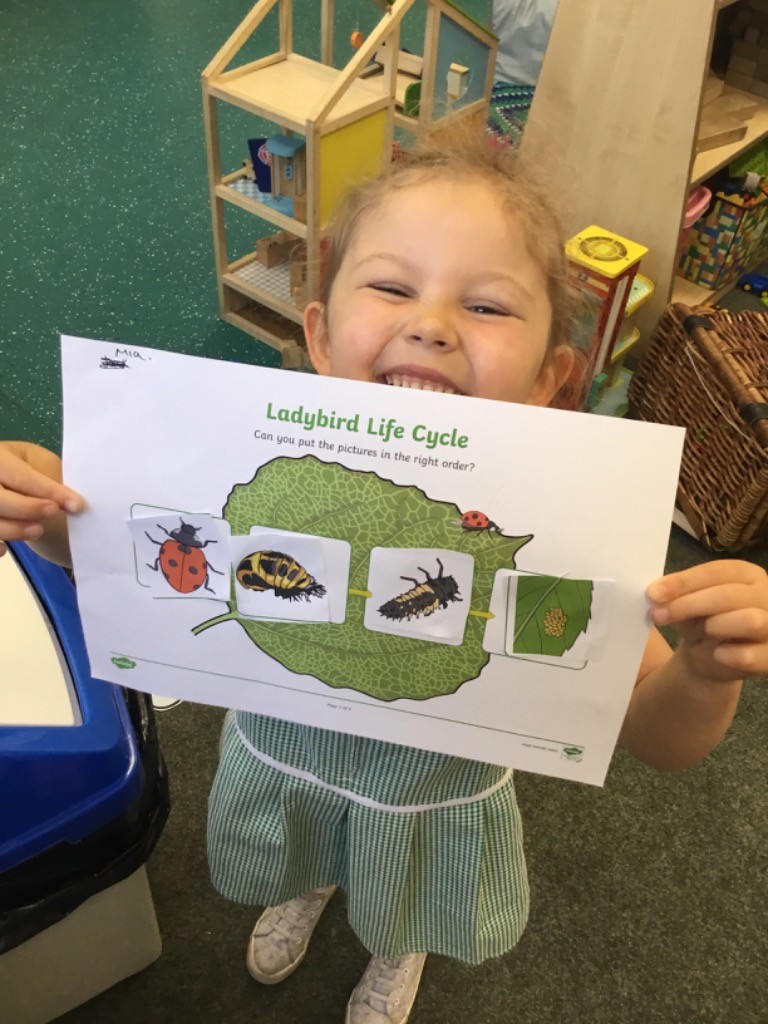 A girl in nursery holds up a piece of work she has done, showing the life cycle of a ladybird.